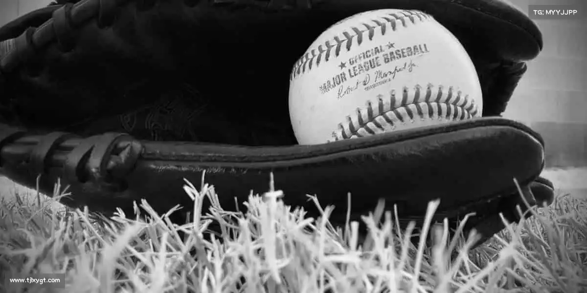 我们的品牌价值